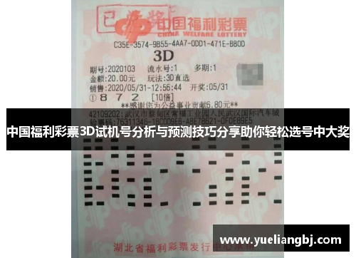 中国福利彩票3D试机号分析与预测技巧分享助你轻松选号中大奖