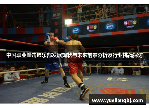 中国职业拳击俱乐部发展现状与未来前景分析及行业挑战探讨