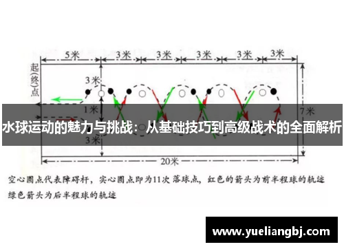 水球运动的魅力与挑战：从基础技巧到高级战术的全面解析