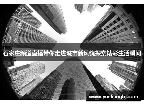石家庄频道直播带你走进城市新风貌探索精彩生活瞬间