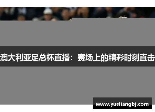澳大利亚足总杯直播：赛场上的精彩时刻直击