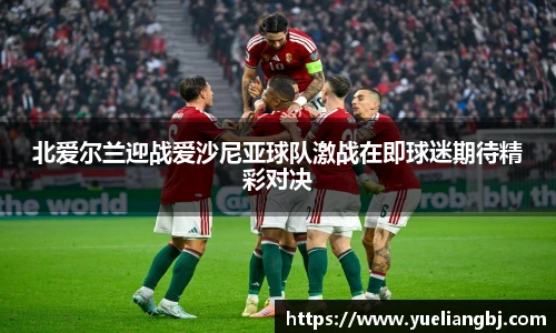 北爱尔兰迎战爱沙尼亚球队激战在即球迷期待精彩对决